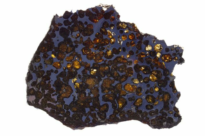 Polished Sericho Pallasite Meteorite ( g) Slice - Kenya #305727